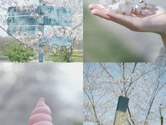 -上海辰山植物园
