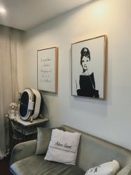 -演员的秘密·皮肤管理