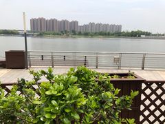 景观位-翠山·映月湖景餐厅(映月湖公园店)