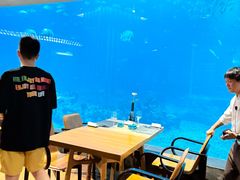 -海棠湾洲际-涛·海底餐厅·美人鱼·自助餐·海底隧道