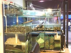 水产区-老虎滩大连海鲜烧烤(建邺云锦路总店)