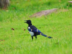 -白塘生态植物园