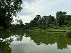 -新加坡植物园