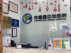 -宠福鑫动物医院(望京分院)