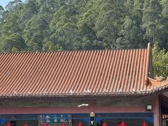 -顺峰山公园