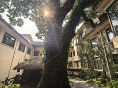 -普陀山雷迪森庄园