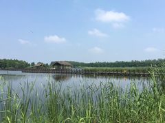 -溱湖国家湿地公园