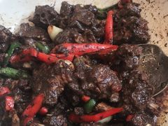 -饭怕鱼(阳光100店)