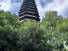 -红梅公园