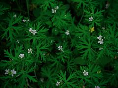 -苏州河梦清园环保主题公园