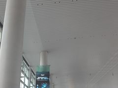-广州白云国际机场-T2航站楼