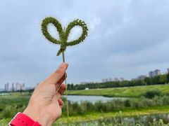 -洋湖国家湿地公园