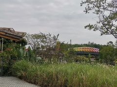 -江门古劳水乡旅游区