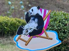 -栾川竹海野生动物园