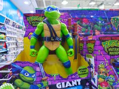-TOYSRUS玩具反斗城(石家庄万象城店)