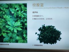 -广东省博物馆