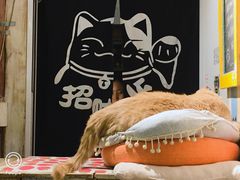-小时光咖啡馆(开森度假森林店)
