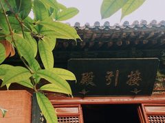-洛阳白马寺