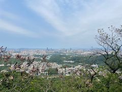 -红花湖景区