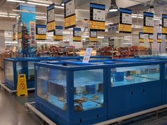 -麦德龙(浦东店)