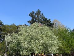 -长春市南湖公园