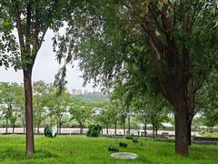 -淇河国家湿地公园