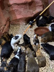 -Zoolung Zoolung动物主题公园(海信广场店)