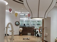 -1013 PET SHOP精品宠物商店(丁香店)