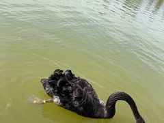 -南大港湿地风景区