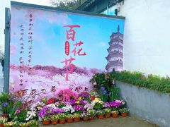 -苏州上方山国家森林公园
