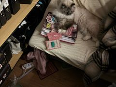 -剧狐剧本杀·月球探案馆(人民广场1号店)