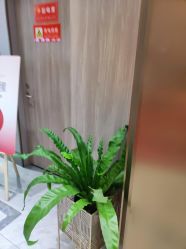 -云南吴氏嘉美医疗美容医院