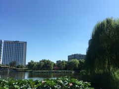 -西海子公园