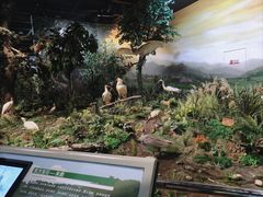 -陕西自然博物馆