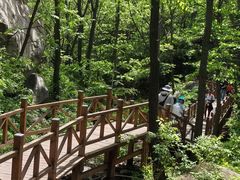 -大岭沟猕猴桃谷风景区