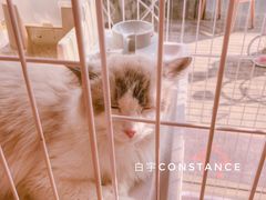 -灯塔咖啡馆BOOK·Coffee Shop