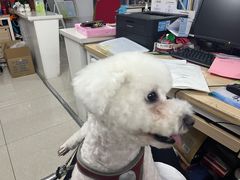 -Xcape异时刻密室逃脱真人NPC(新世界百货崇文店)