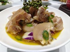 -園外園港式精品菜