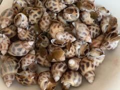 -泉州丰泽新华都百货(丰泽广场店)