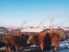 -北极村旅游风景区
