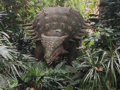-广州长隆野生动物世界