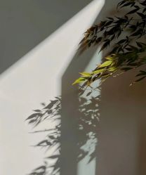 -M·U瑜伽普拉提工作室