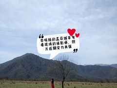 -石棉县孟获城