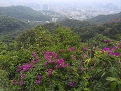 -广州市白云山风景名胜区