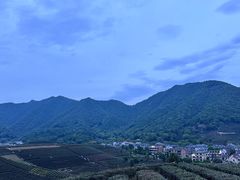 -龙坞茶村