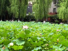 -四川大学(望江校区)