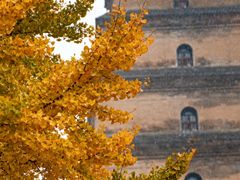 -大慈恩寺(大雁塔)