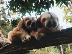 -普洱太阳河森林公园
