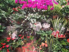 -秦美花卉(天朗·莱茵小城2期店)