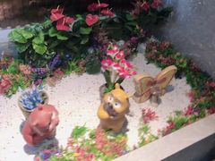 -海底捞火锅(龙茗路店)